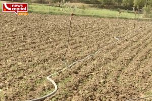 banaskantha farmers worried about lack of irrigation water after planting summer crops