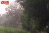 valsad tapi district unseasonal rain farmers worried about crop