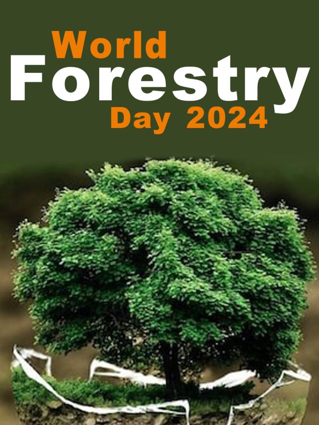 World Forestry Day 2024