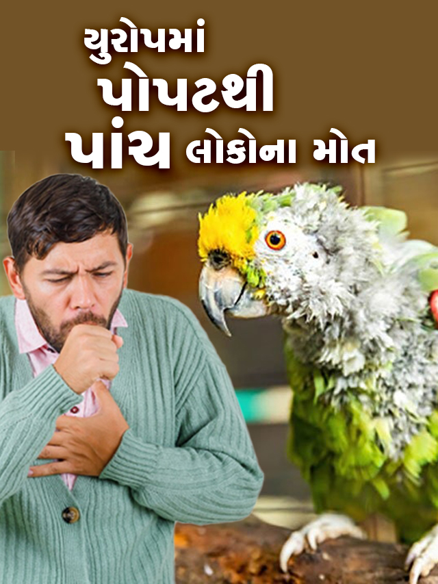 યુરોપમાં પોપટથી પાંચ લોકોના મોત _Thumb_verticle copy