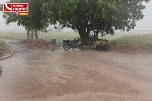 gujarat weather update kutch amreli gondal unseasonal rain