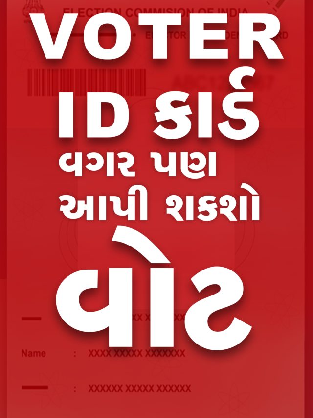હવે Votar ID કાર્ડ વગર પણ આપી શકશો મત !