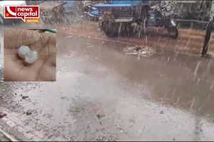Gujarat weather update unseasonal rain sabarkantha banaskantha botad arvalli valsad