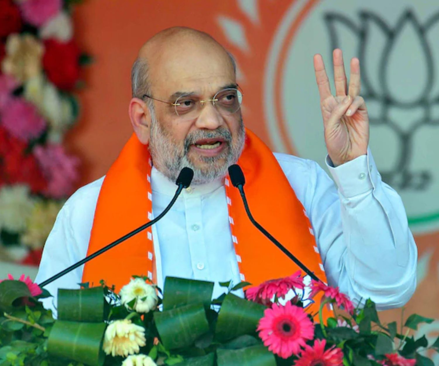 Lok Sabha 2024 Amit Shah