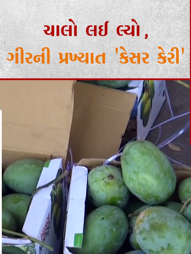 0505 14 GIRSOMNATH MANGO MONIK