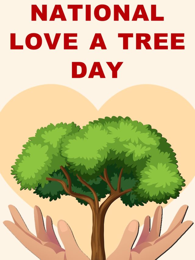 National Love a Tree Day