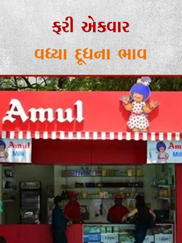 0206 24 Amul MONIK