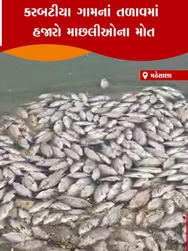 1306 02 MSN FISH DEAD POOJA