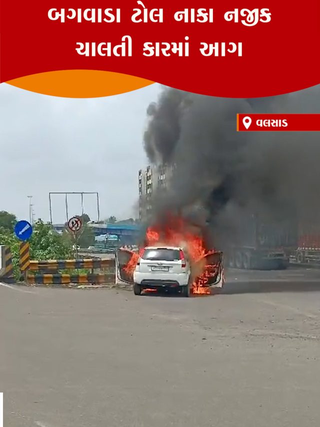 2106 32 VLS CAR AAG -PARUL monik