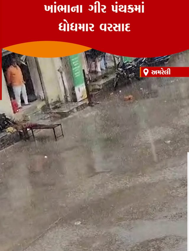 2206 28 AMRELI RAIN -PARUL