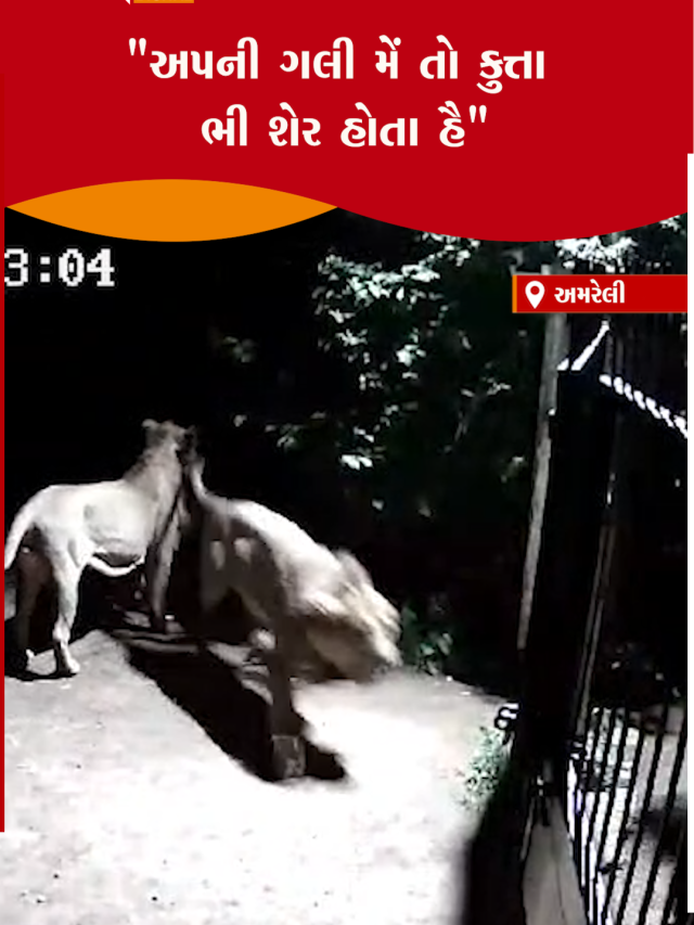 1308 29 AMR SINH CCTV