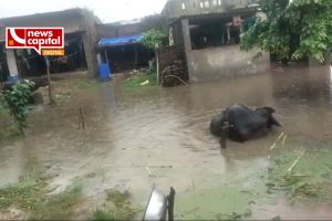 Sabarkantha Heavy Rain