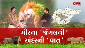 Gir Forest: A Repository of Lions, Nature and Wildlife | NewsCapital Exclusive on Eco Sensitive Zone |