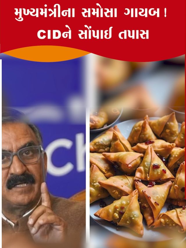 0810 12 CM SAMOSA-KHUSH.mp4_snapshot_00.17.859